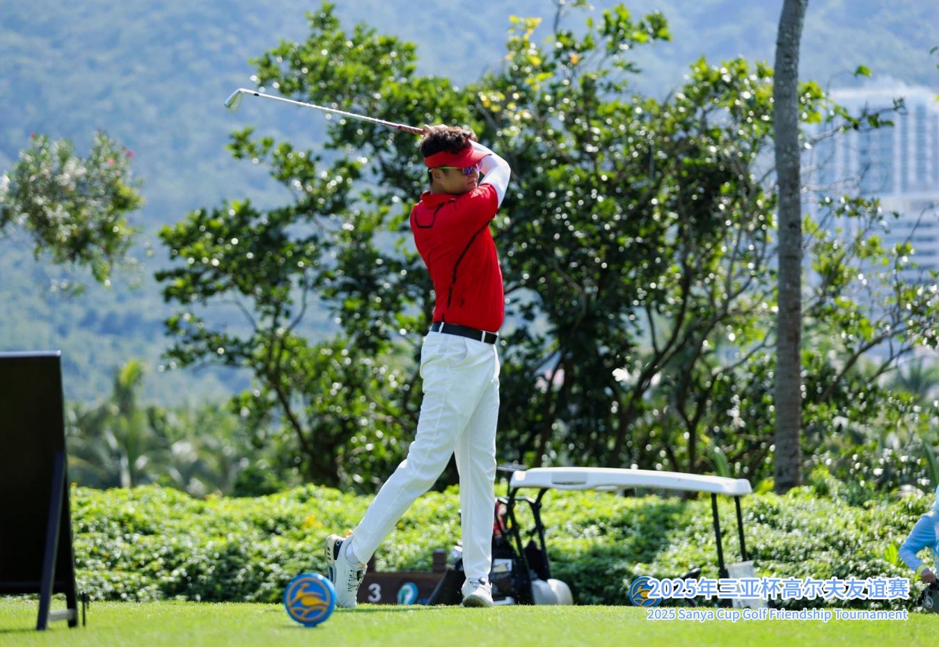 微信图片_2025-11-22_230440_817